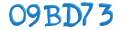 CAPTCHA Beveiliging