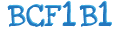 CAPTCHA Beveiliging